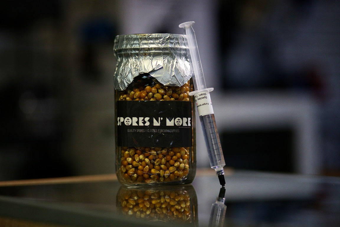 Sterilized Grain Jar